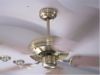 ceiling_fan_and_lights_kitchen.jpg