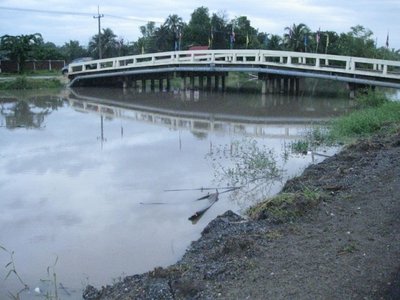 the bridge